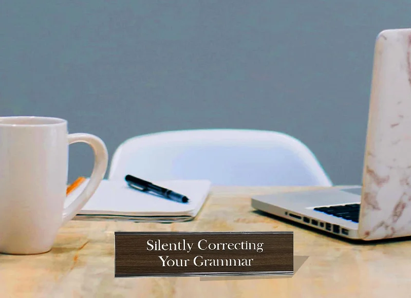 Durable stainless steel ladles-Silently Correcting Your Grammar - Office Desk Plate