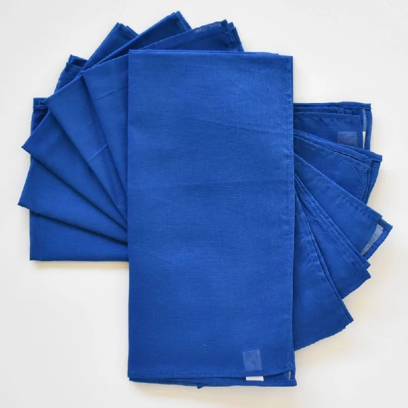 Elegant blue dinnerware sets-Lisa Corti China Blue cotton organza napkins set of 6