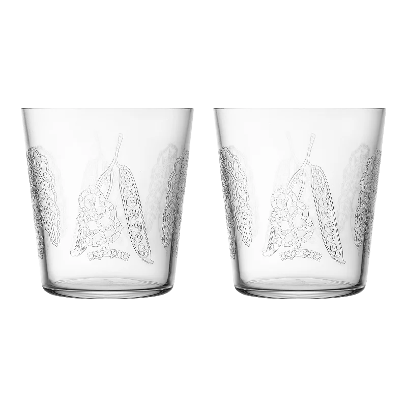 Insulated stainless steel cups-iittala Taika Sato Clear Tumbler (Set of 2)