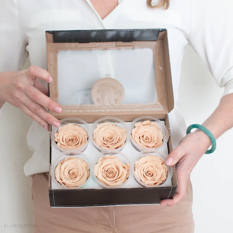 Elegant gold accent mirrors-Peachy Beige Preserved Roses