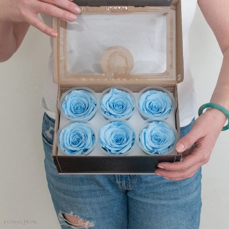 Bold red wall mirrors-Blue Preserved Roses