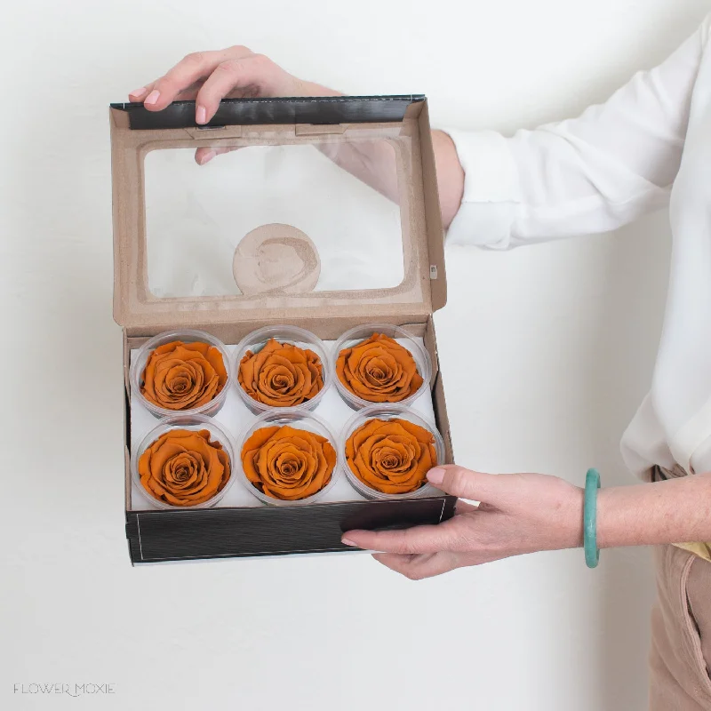 Modern geometric wall clocks-Terracotta Preserved Roses