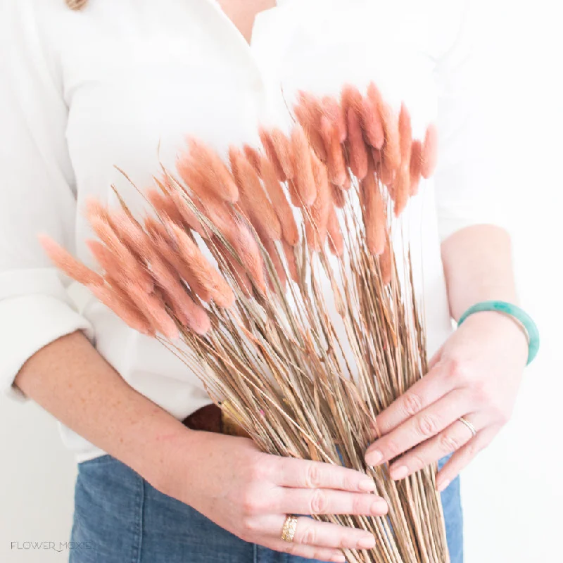 Cozy knit blankets for winter-Dusty Rose Pink Dried Bunny Tail Grass