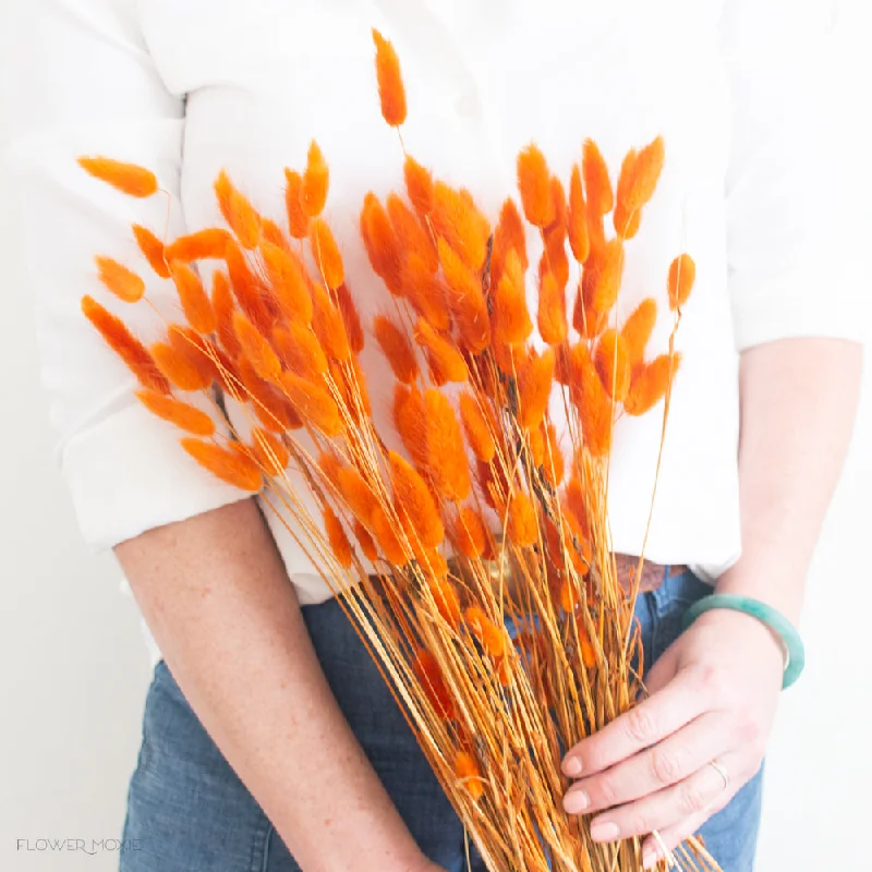 Cozy fleece throw pillows-Carrot Orange Dried Bunny Tail Grass