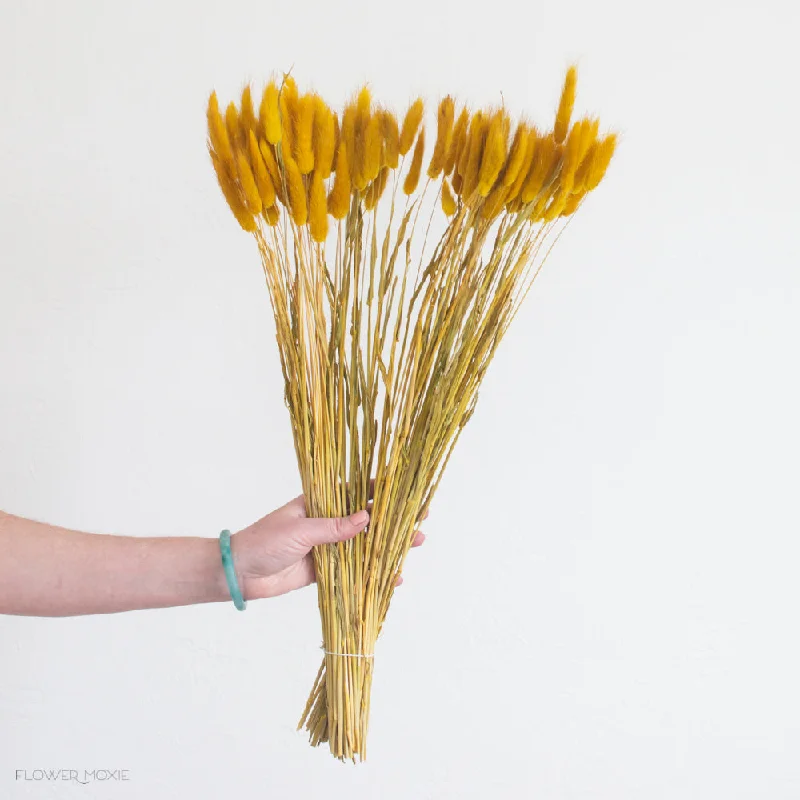 Sleek stainless steel planters-Mustard Yellow Bunny Tail Grass