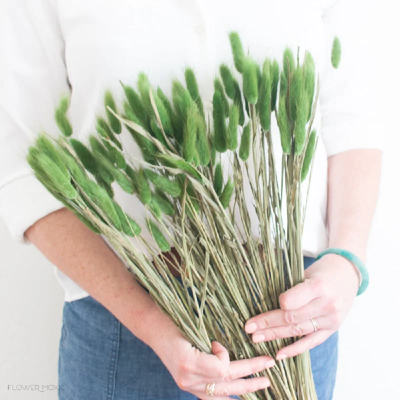 Luxury velvet curtains-Green Dried Bunny Tail Grass