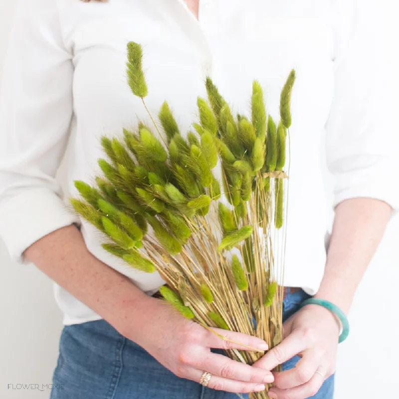 Cozy knit wall tapestries-Moss Green Dried Bunny Tail Grass