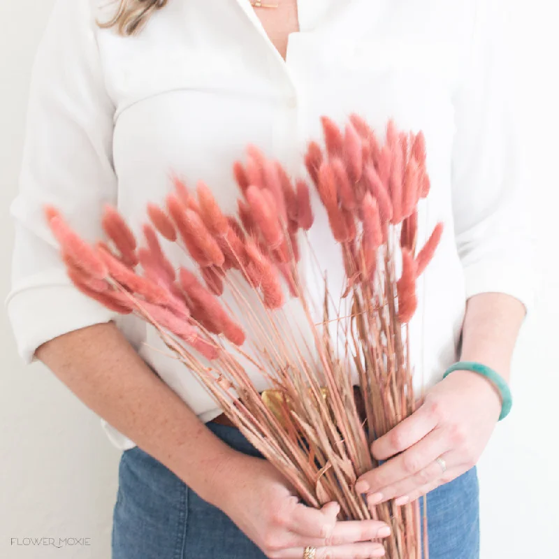 Stylish woven wall decor-Pink Dried Bunny Tail Grass