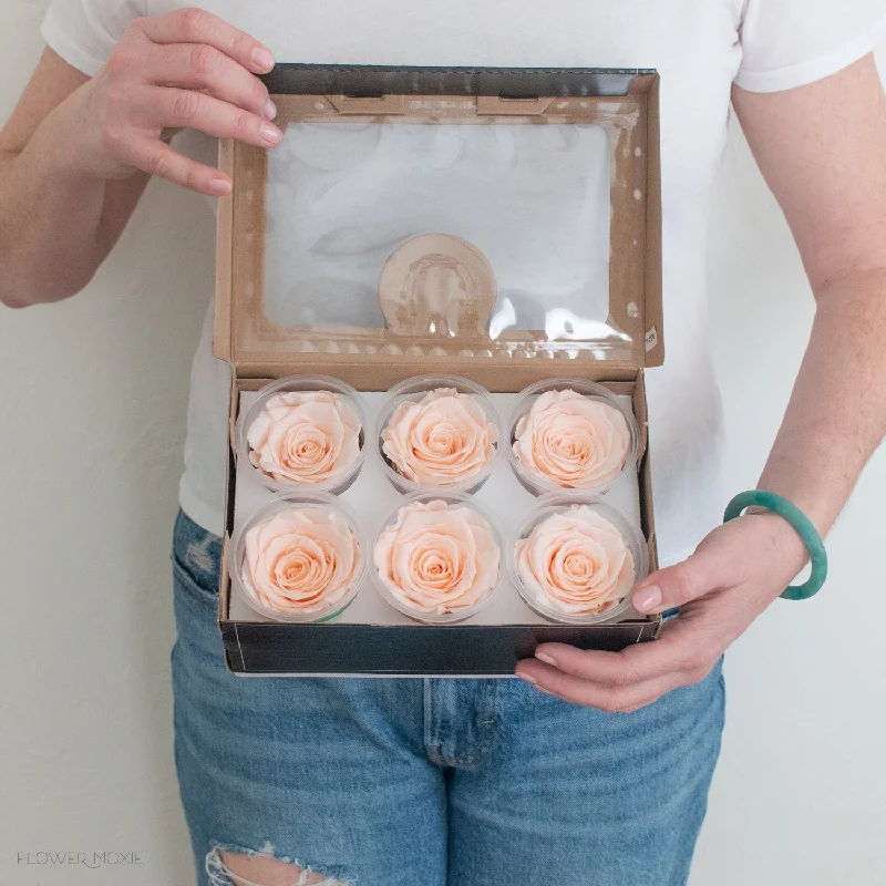 Elegant marble table coasters-Light Peach Preserved Roses