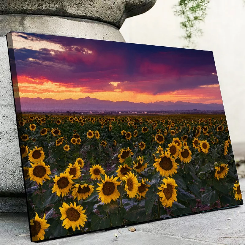 Cute kids’ wall mirrors-Colorado Sunflowers Canvas Set