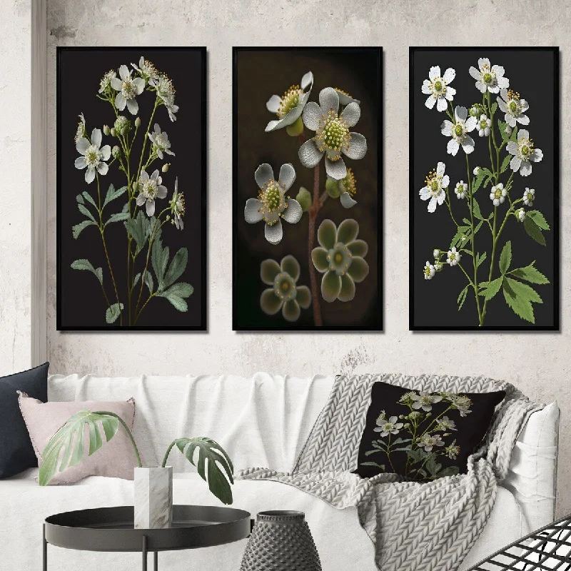 Sleek black sculptures-Designart "Blossoming Diphylleia Grayi On Black I" Floral Framed Wall Art Set Of 3 - Traditional For Home Decor