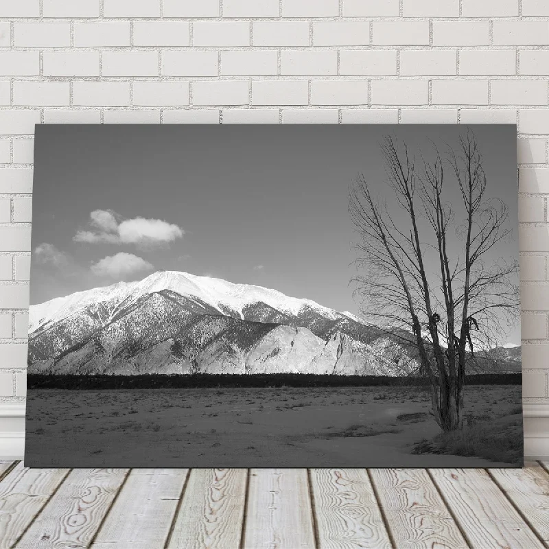 Modern wall art prints-Mount Princeton Black and White