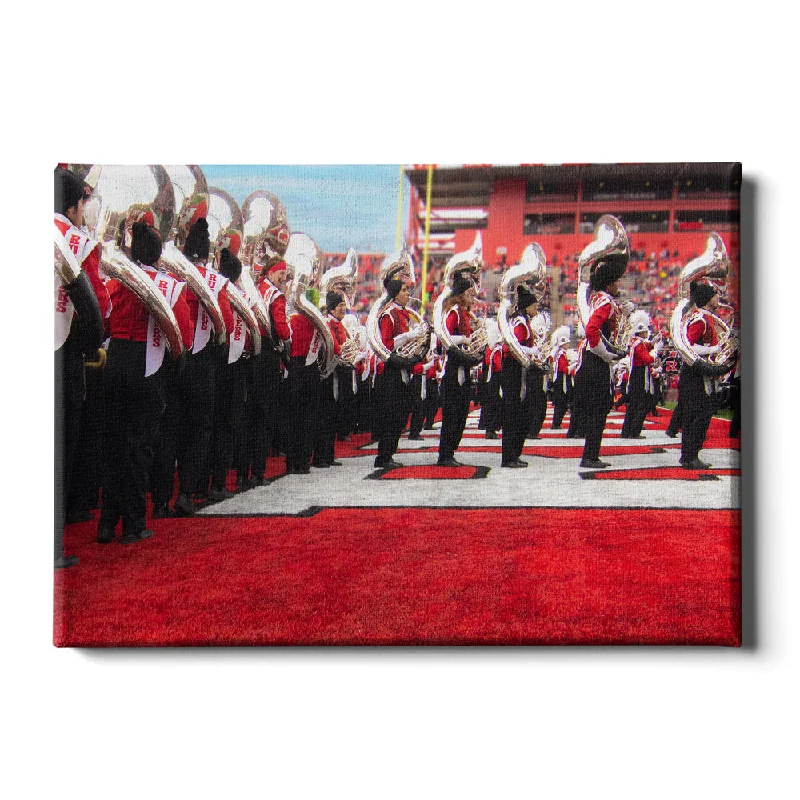 Sleek black sculptures-Rutgers Scarlet Knights - Rutgers Marching Band