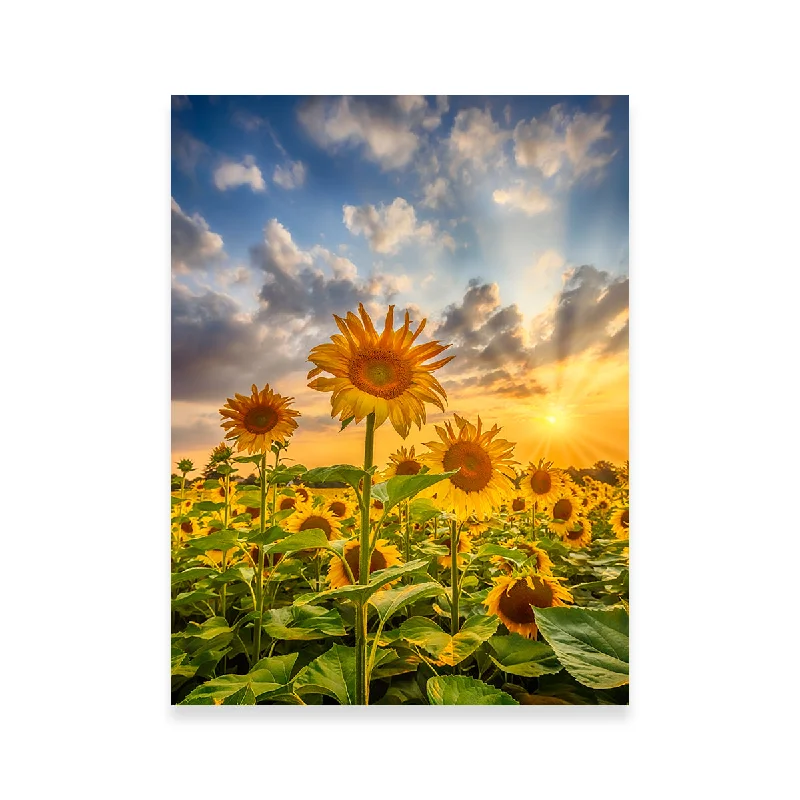 Minimalist bamboo wall art-Sunflower Field at Sunset