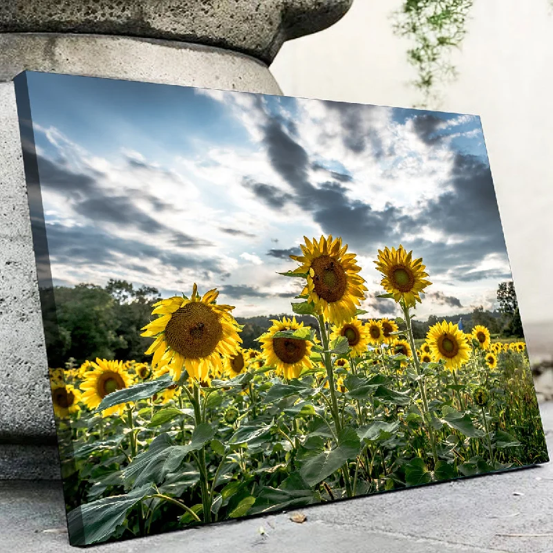 Retro polka dot cushions-Sunflowers Canvas Set